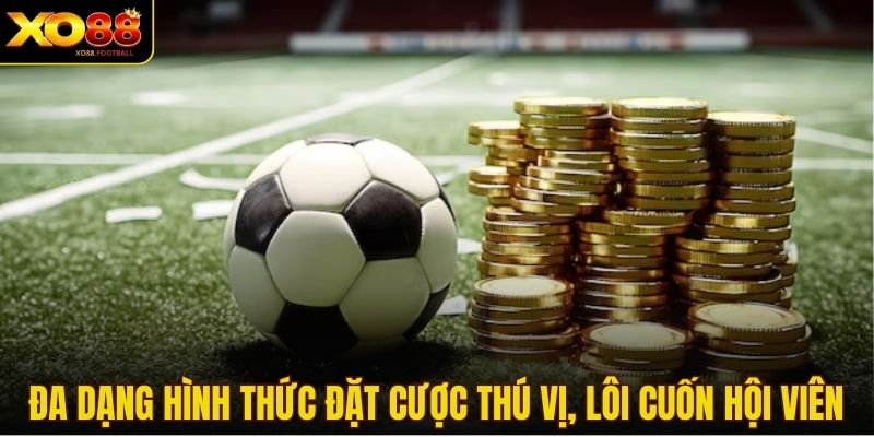 Đa dạng hình thức đặt cược thú vị, lôi cuốn hội viên