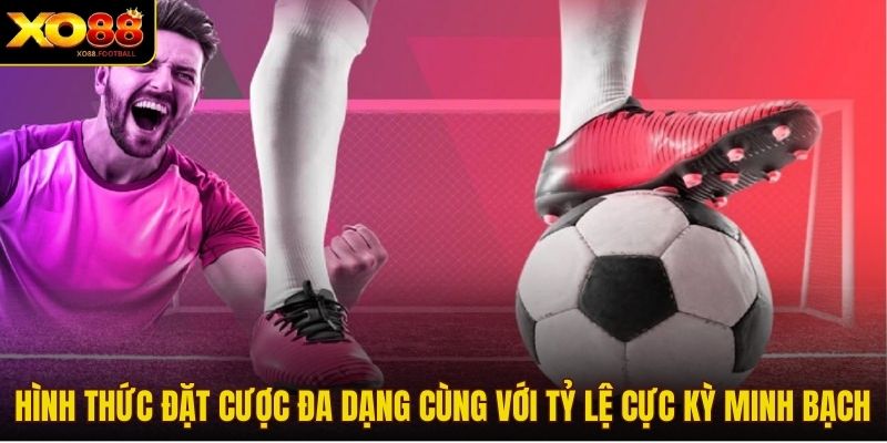 Hình thức đặt cược đa dạng cùng với tỷ lệ cực kỳ minh bạch