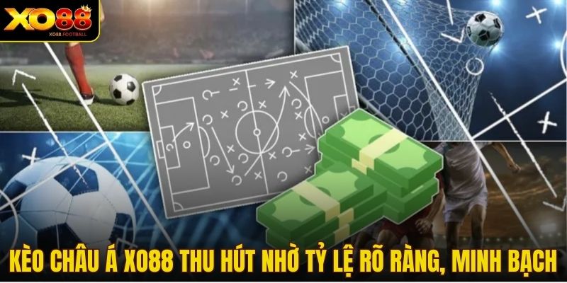 Kèo châu Á Xo88 thu hút nhờ tỷ lệ rõ ràng, minh bạch