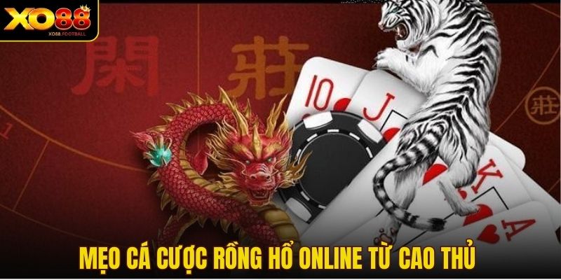 Mẹo cá cược Rồng Hổ online từ cao thủ