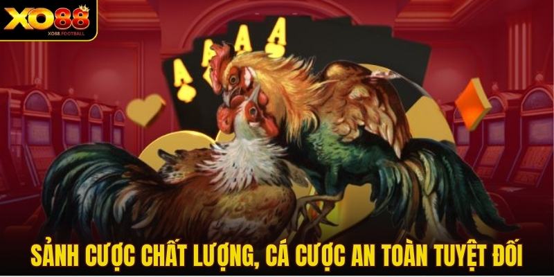 Sảnh cược chất lượng, cá cược an toàn tuyệt đối